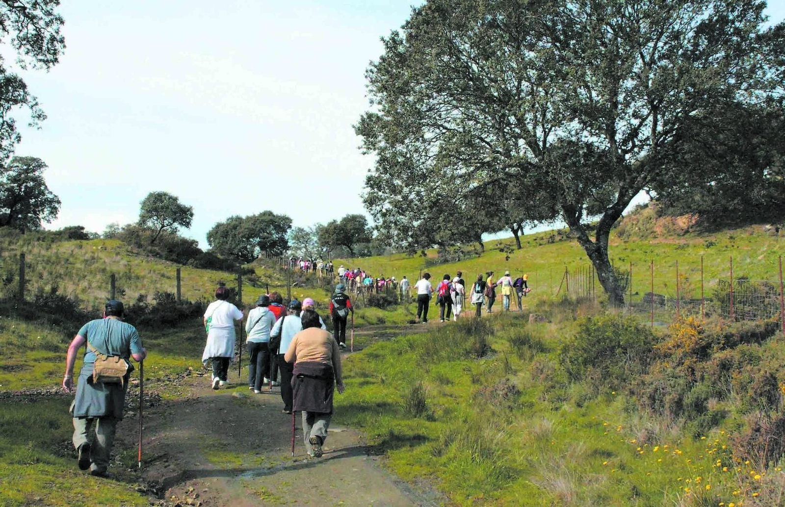 Personas participan en una ruta senderista.