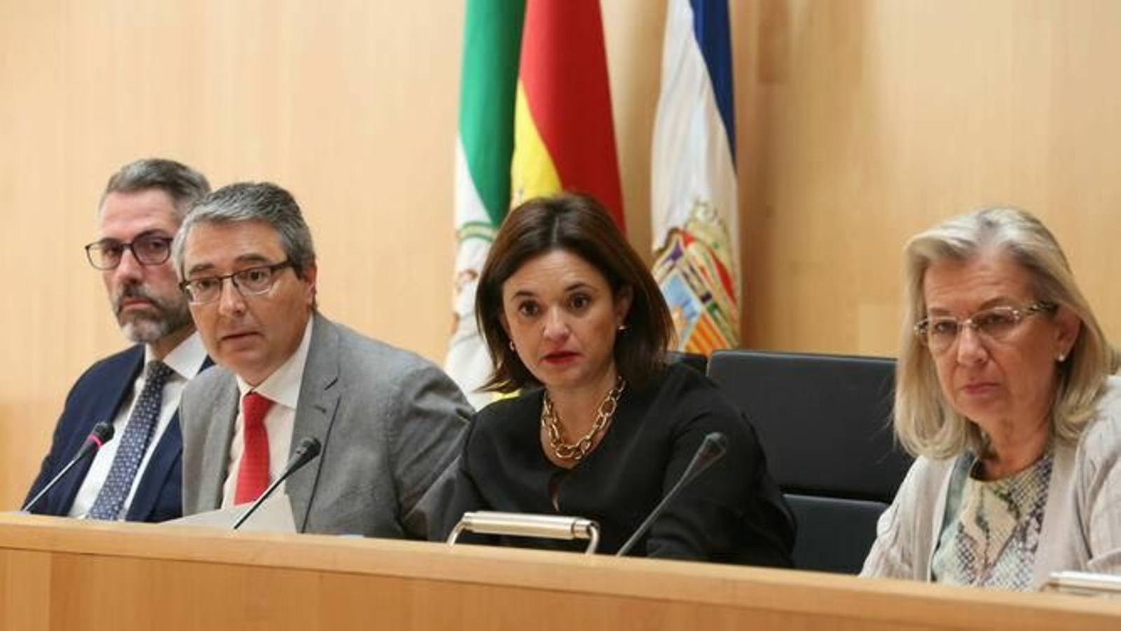 Francisco Salado en el pleno de la Diputación de Málaga celebrado en octubre.