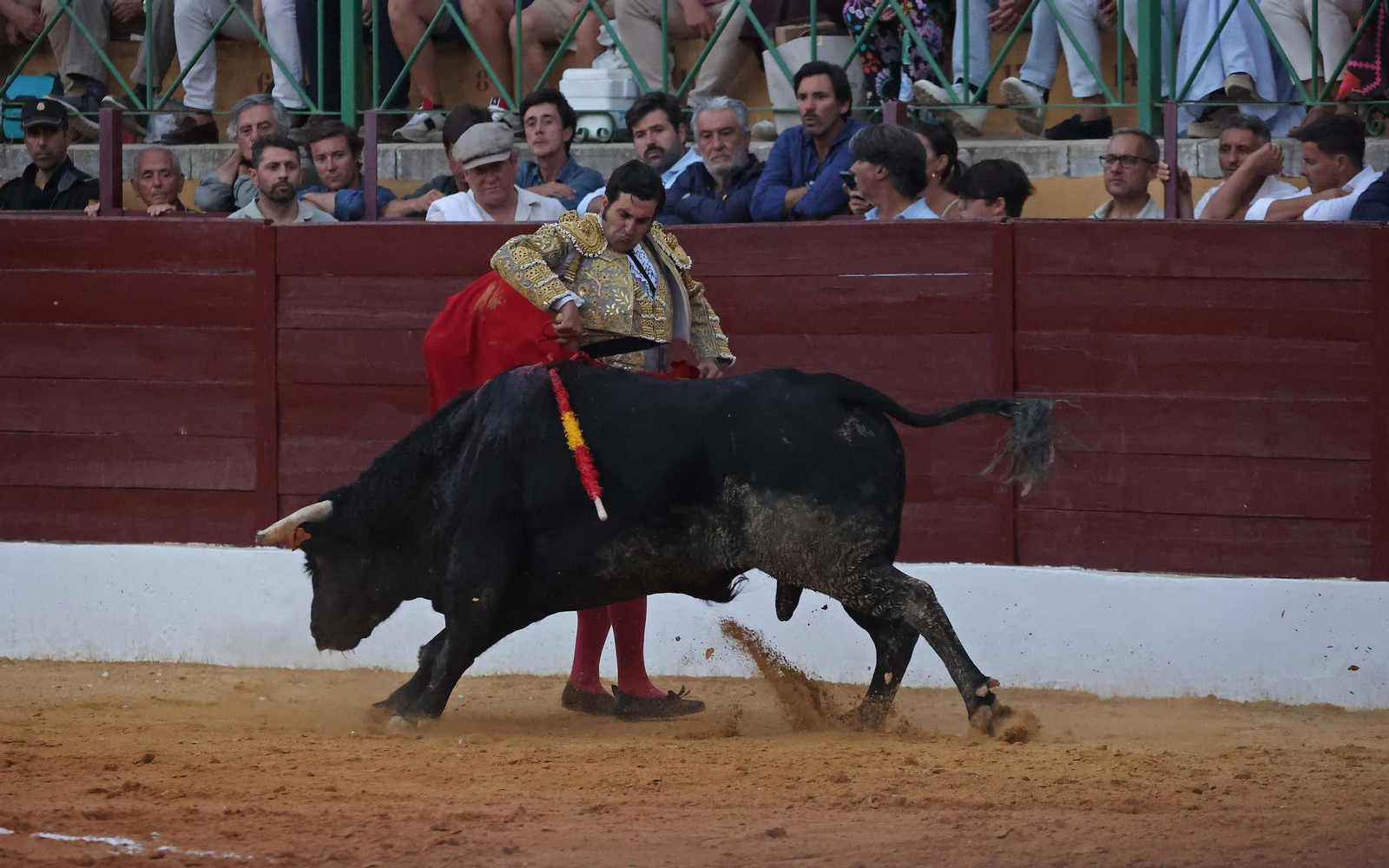 Fotos de la corrida del viernes de la Feria de La Línea: Morante de la Puebla, Talavante y David de Miranda Fotos de la corrida del viernes de la Feria de La Línea: Morante de la Puebla, Talavante y David de Miranda