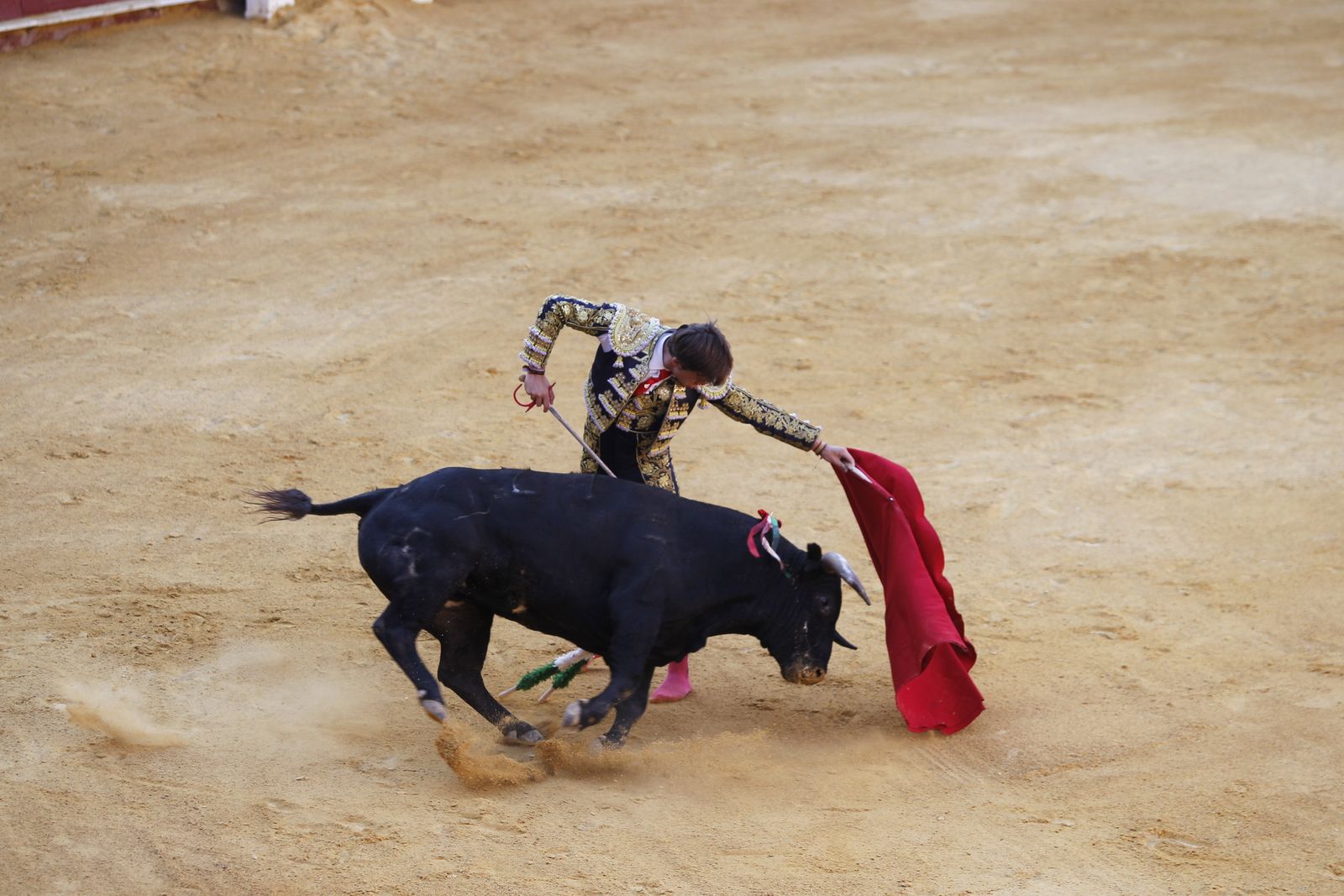 Fotogalería novillada Escuela Taurina de Almería. Feria de Almería 2019