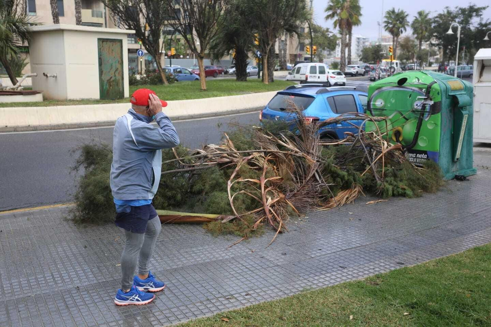 El temporal de lluvia y viento en Málaga