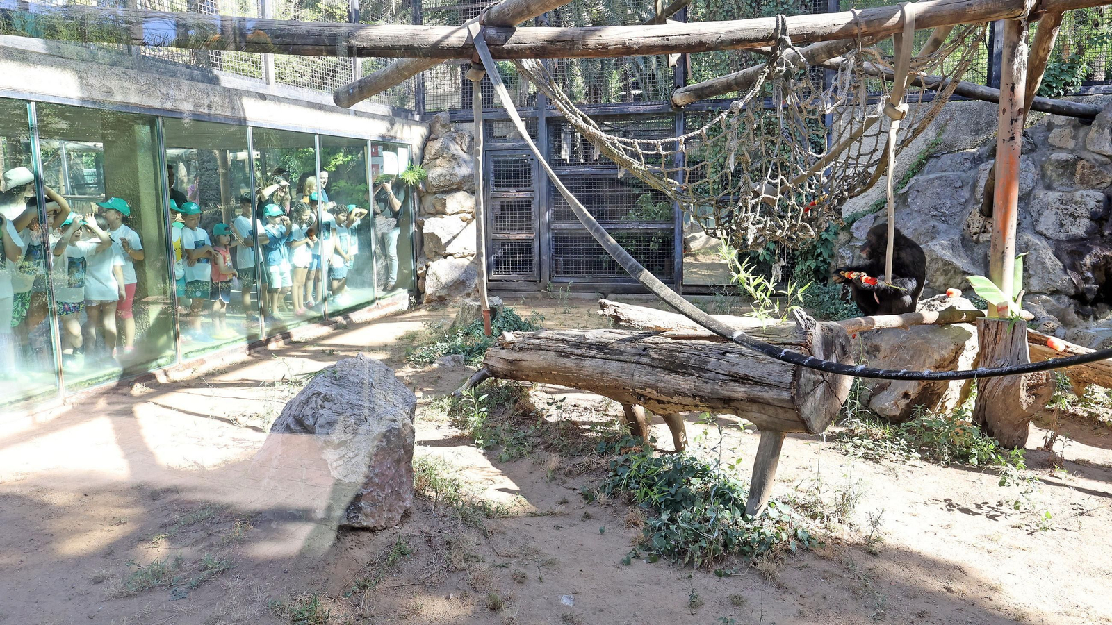 Visita a la escuela de verano en el Zoo de Jerez