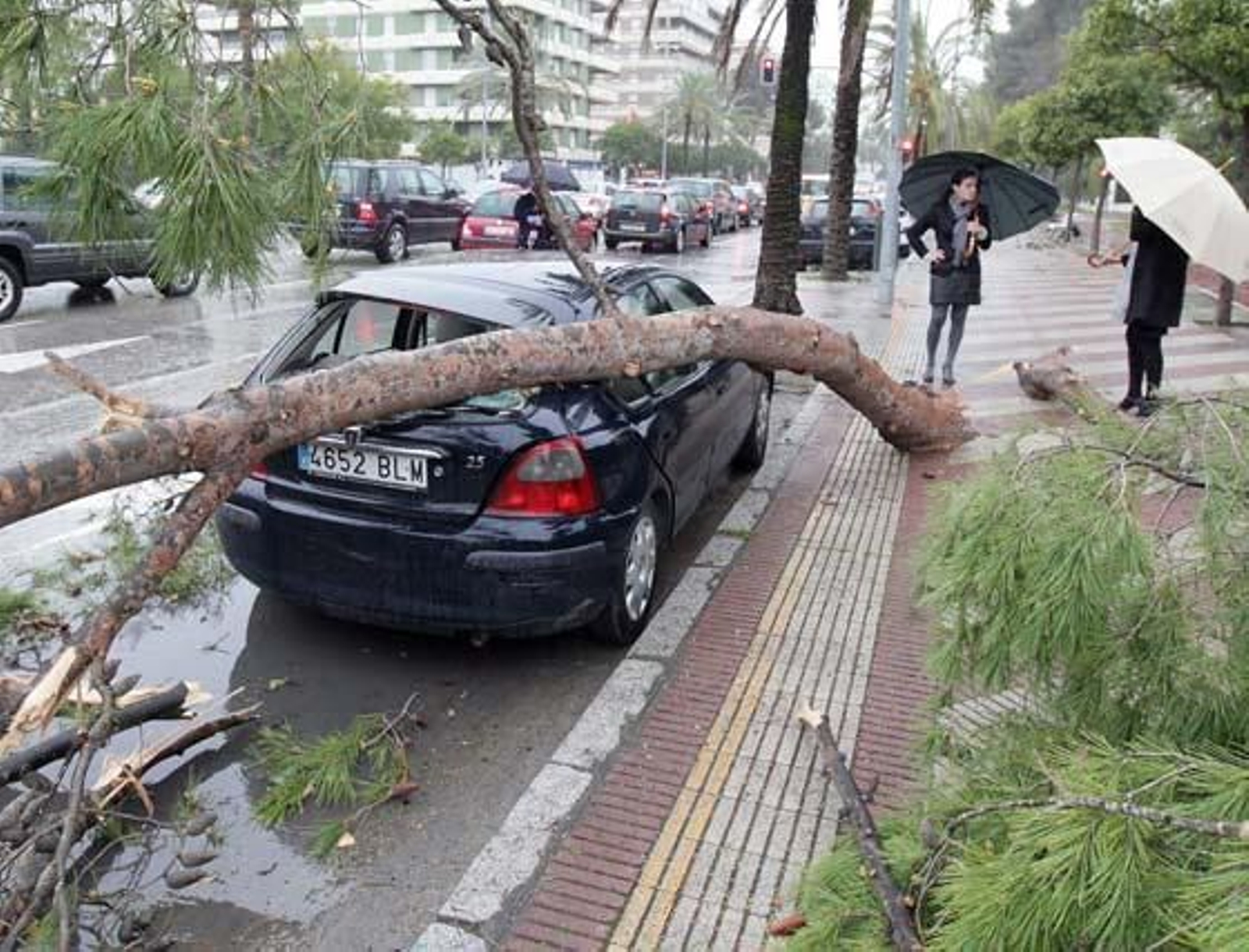 Una enorme rama provocó serios daños a este coche en la avenida Álvaro Domecq.

Foto: miguel ángel gonzález