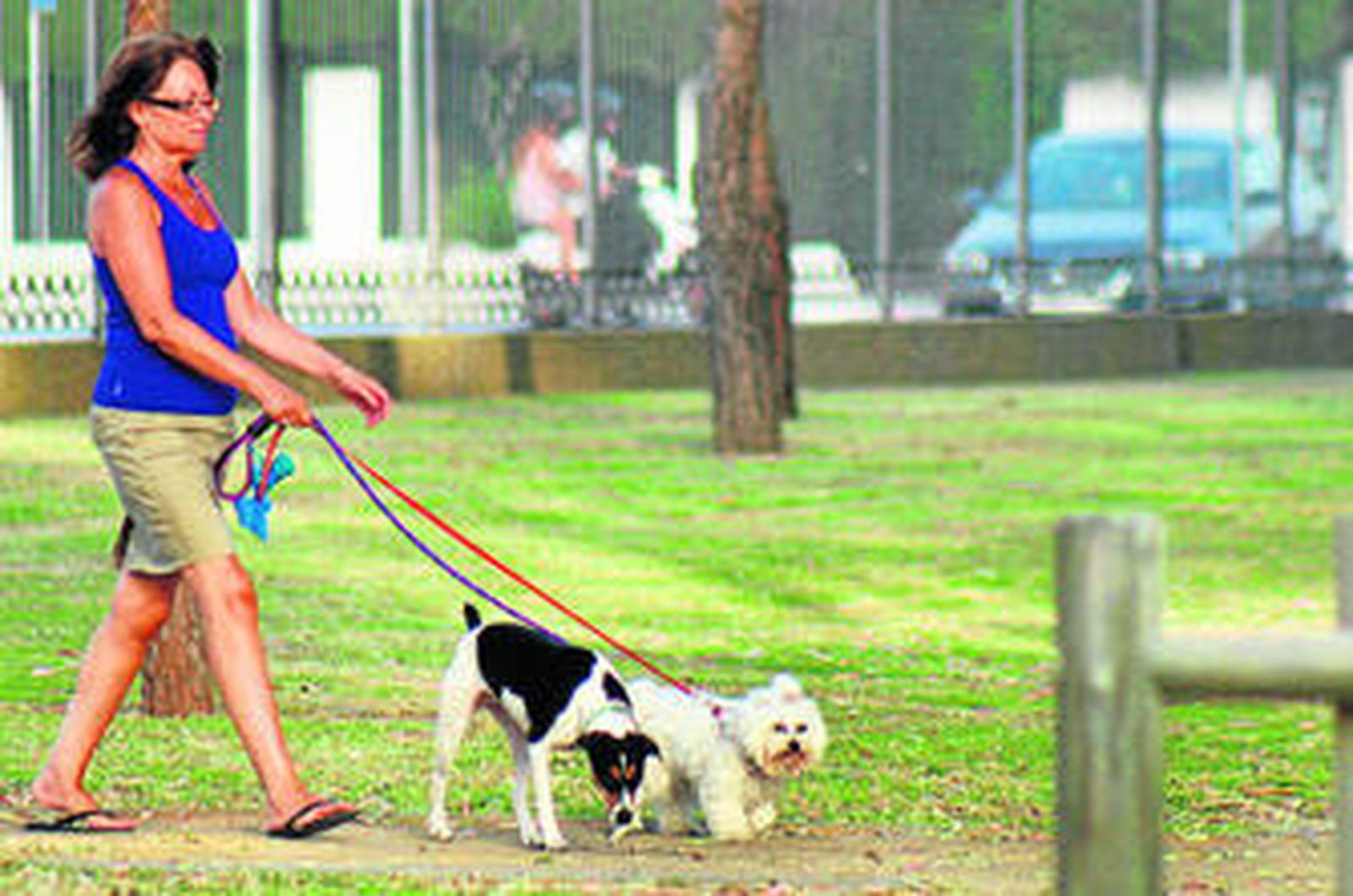 Una mujer paseando a dos perros por la nueva zona acotada para canes en Valdelagrana.