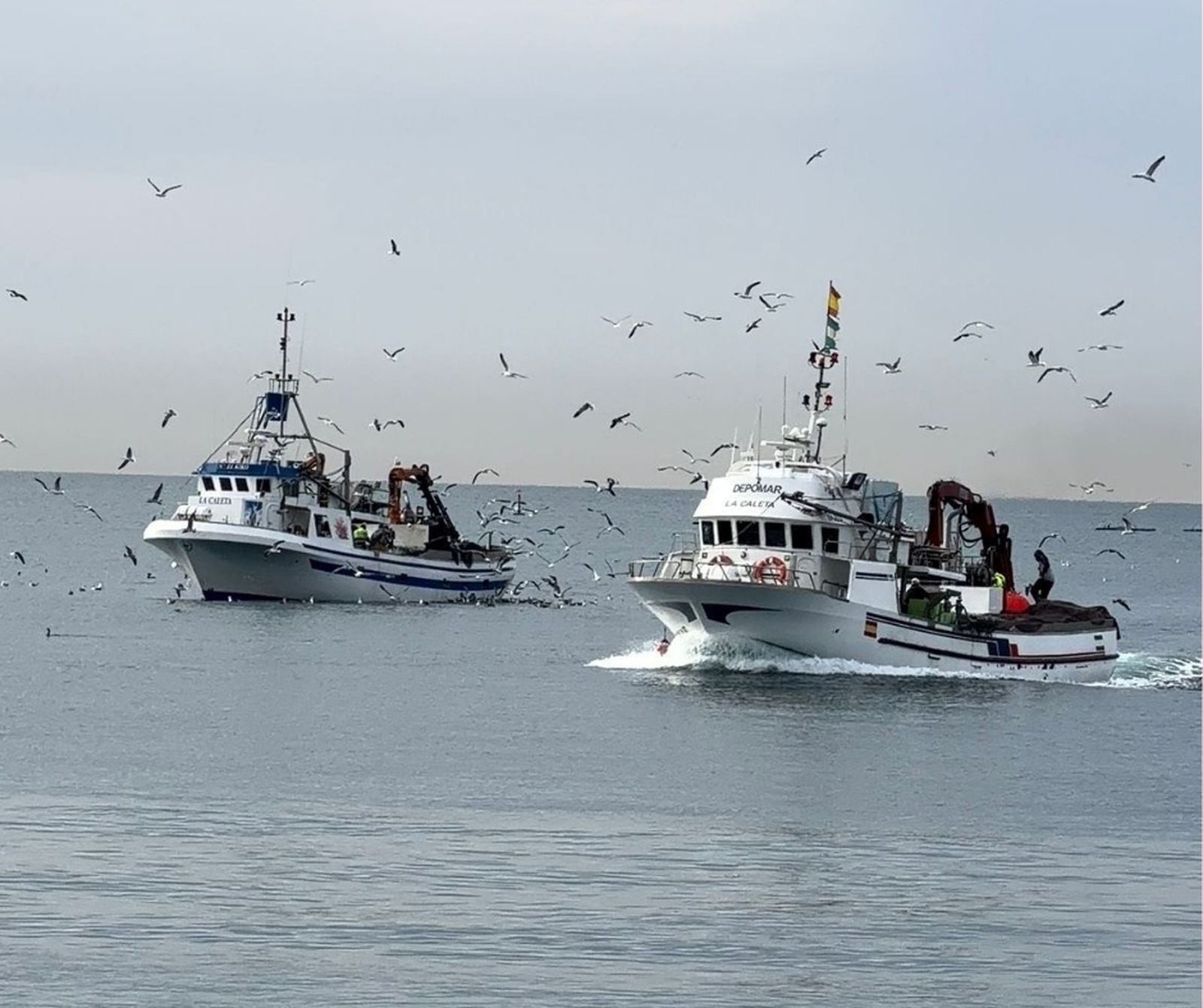 Dos barcos pesqueros del Puerto de la Caleta de Vélez.