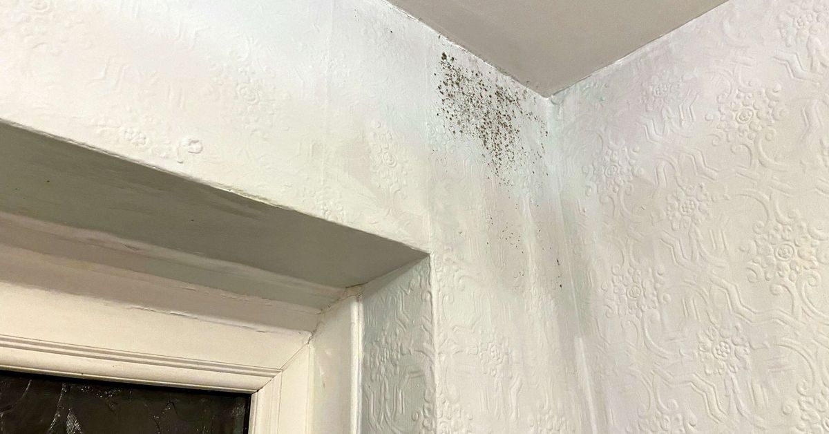 Adiós a las sorpresas por humedad en casa: usa el papel de aluminio en la pared para detectar las humedades en casa