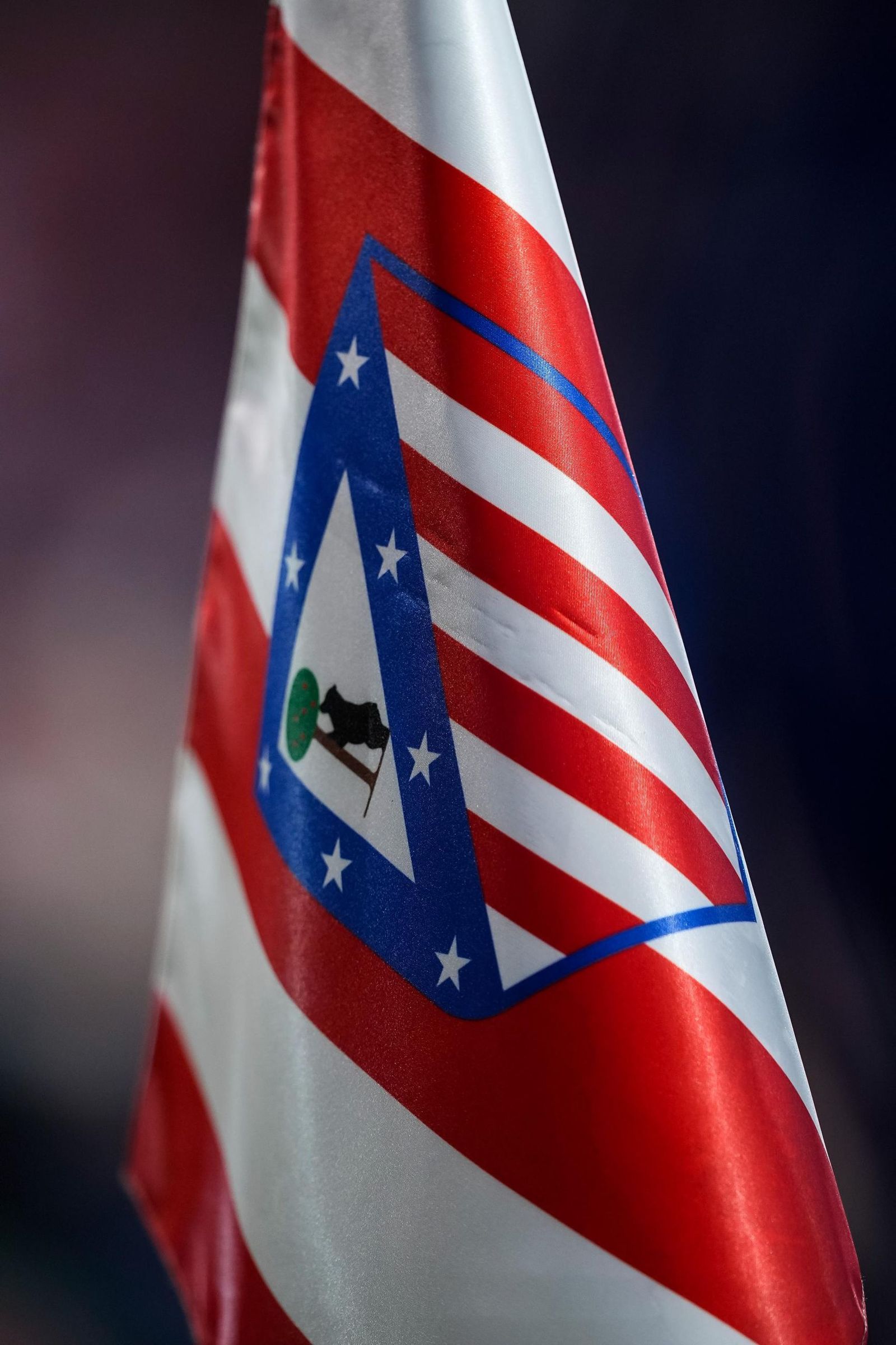 Las fotos del Atlético de Madrid-Tottenham