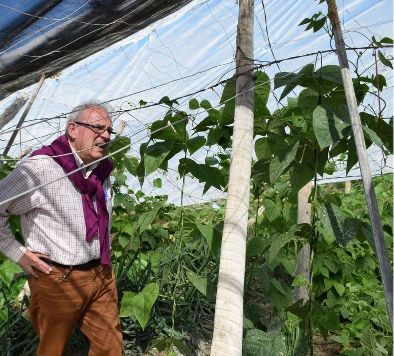 Las organizaciones sindicales y cooperativas respaldan la petición del primer edil