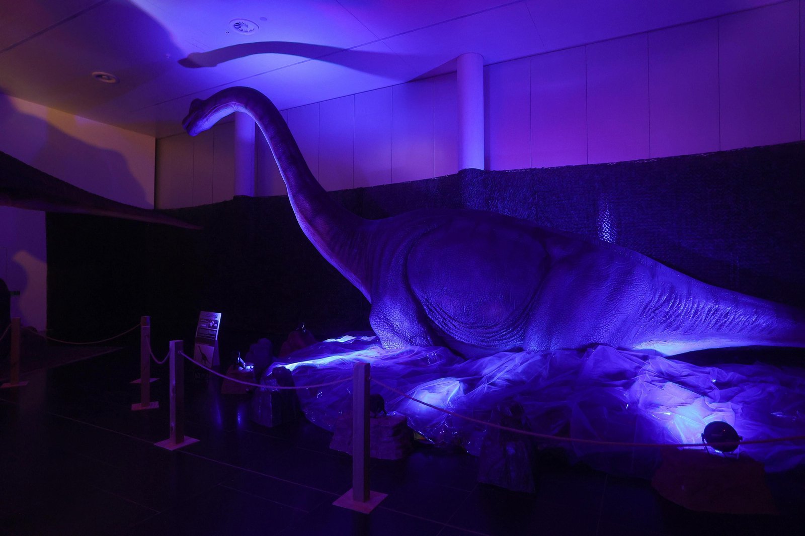 Exposición DINOSAURS LIVE