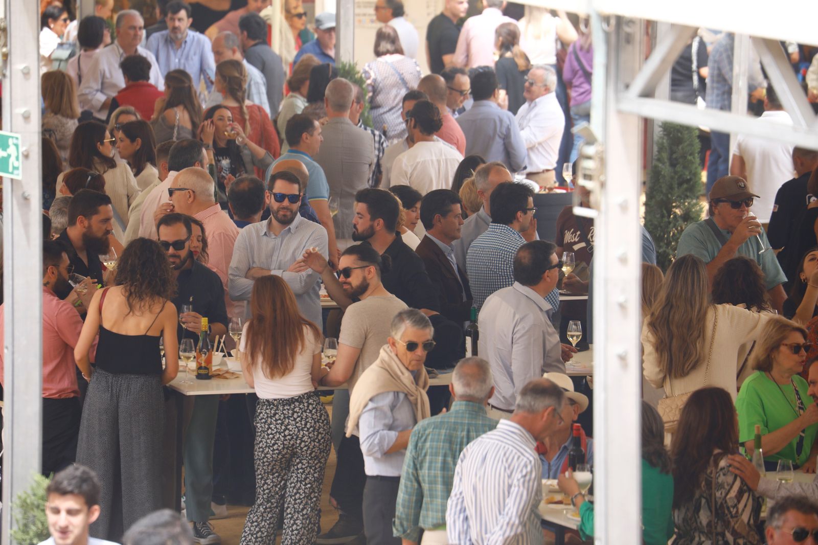 El viernes en la Cata del Vino de Córdoba, en imágenes