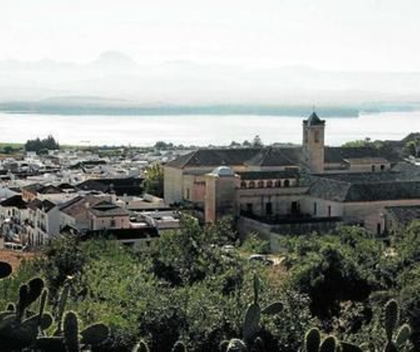 Una vista panorámica sobre la localidad de Bornos.