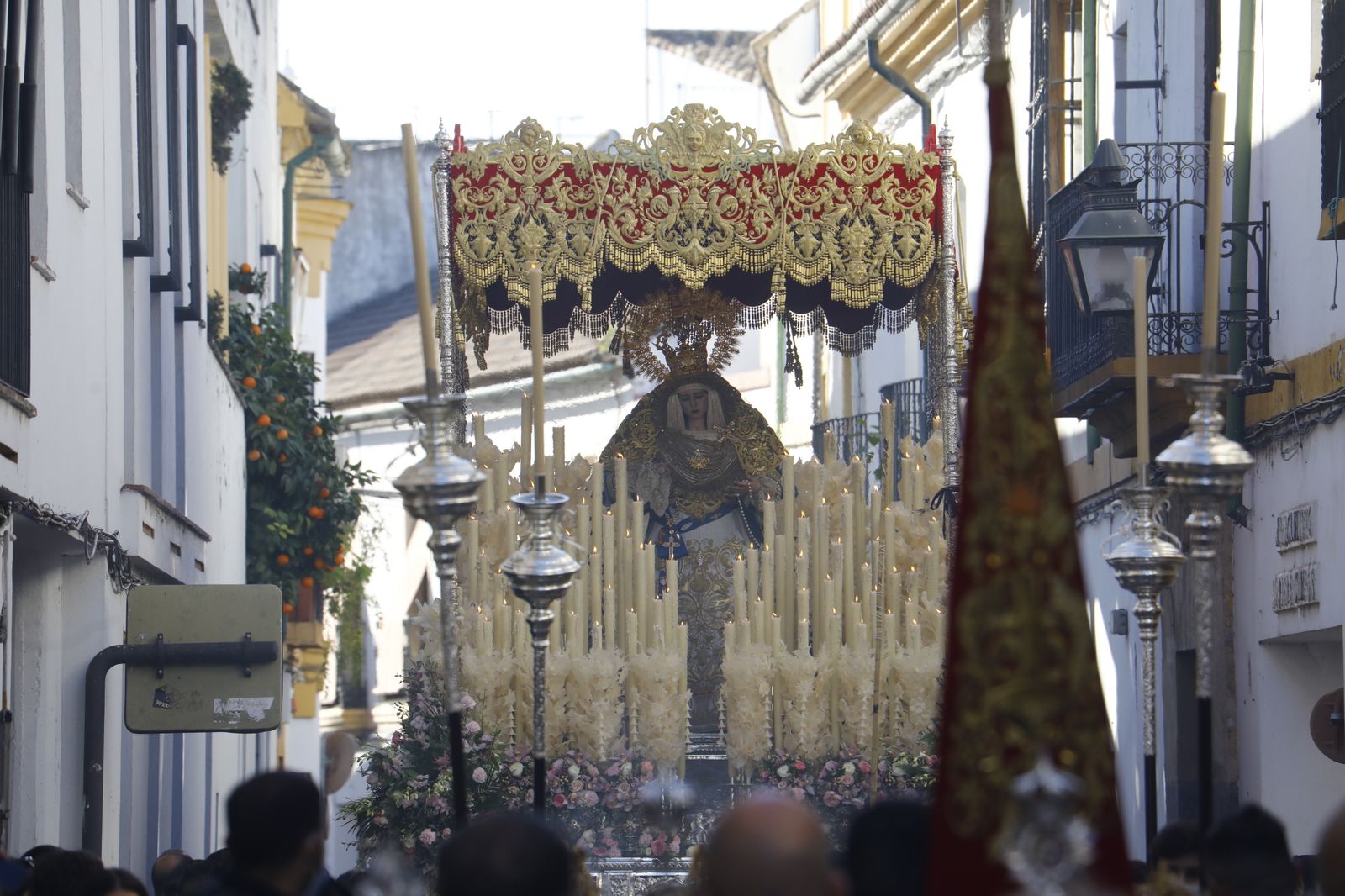 La procesión extraordinaria de la Virgen de la Salud de Córdoba, en imágenes