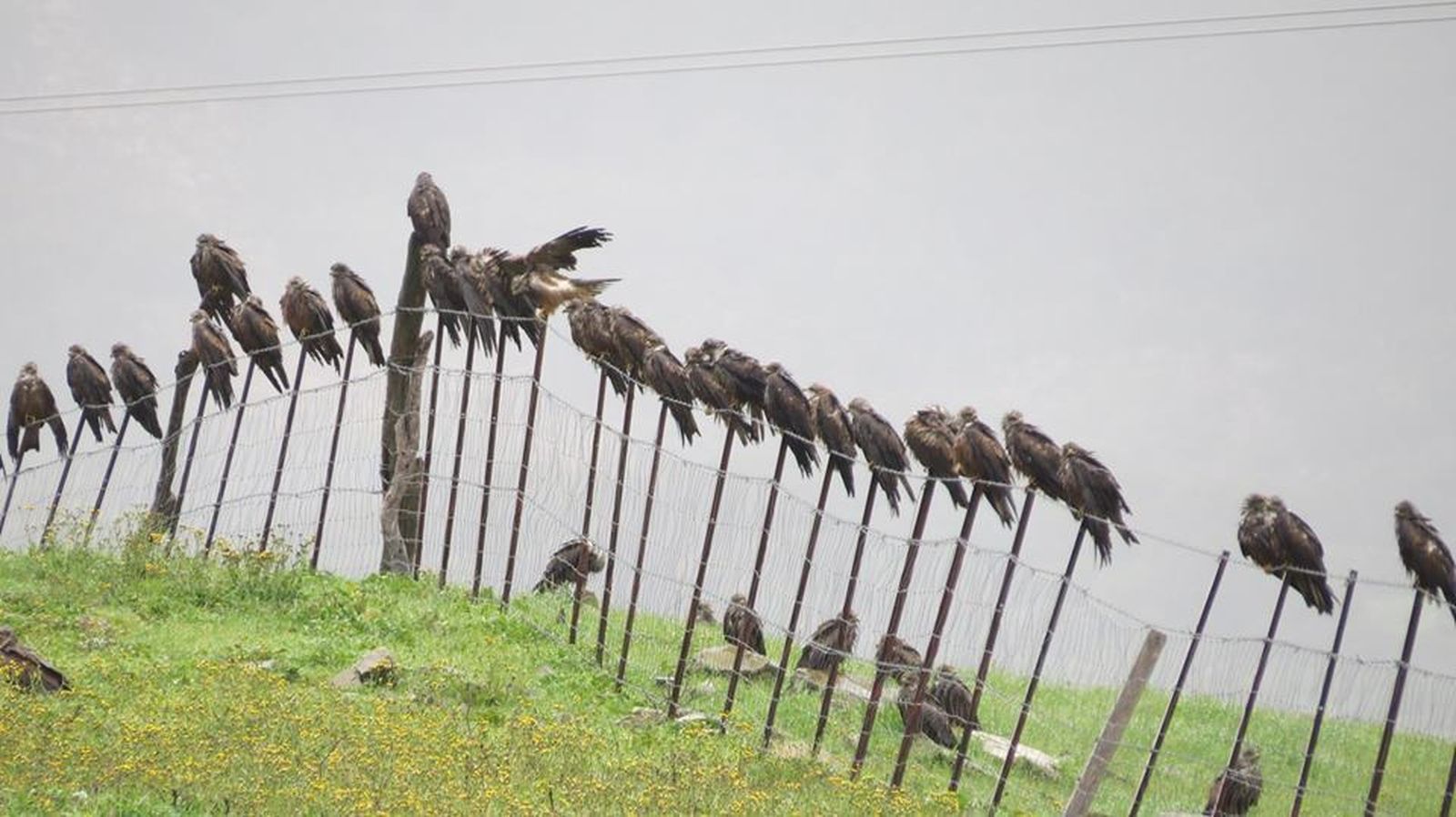 Siete evidencias en el Estrecho del cambio climático