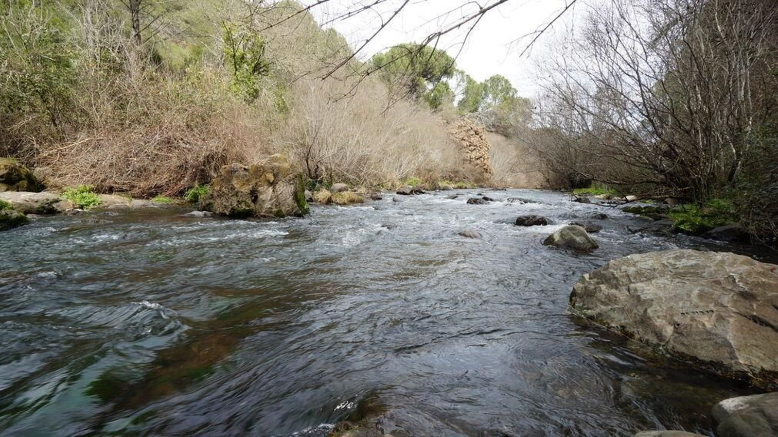 Rápidos del río Guadiato, junto a los Baños de Popea.