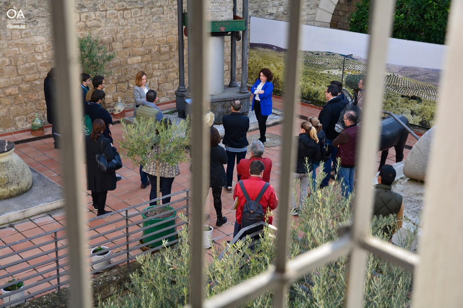 Centro de Interpretación Olivar y Aceite en Úbeda.