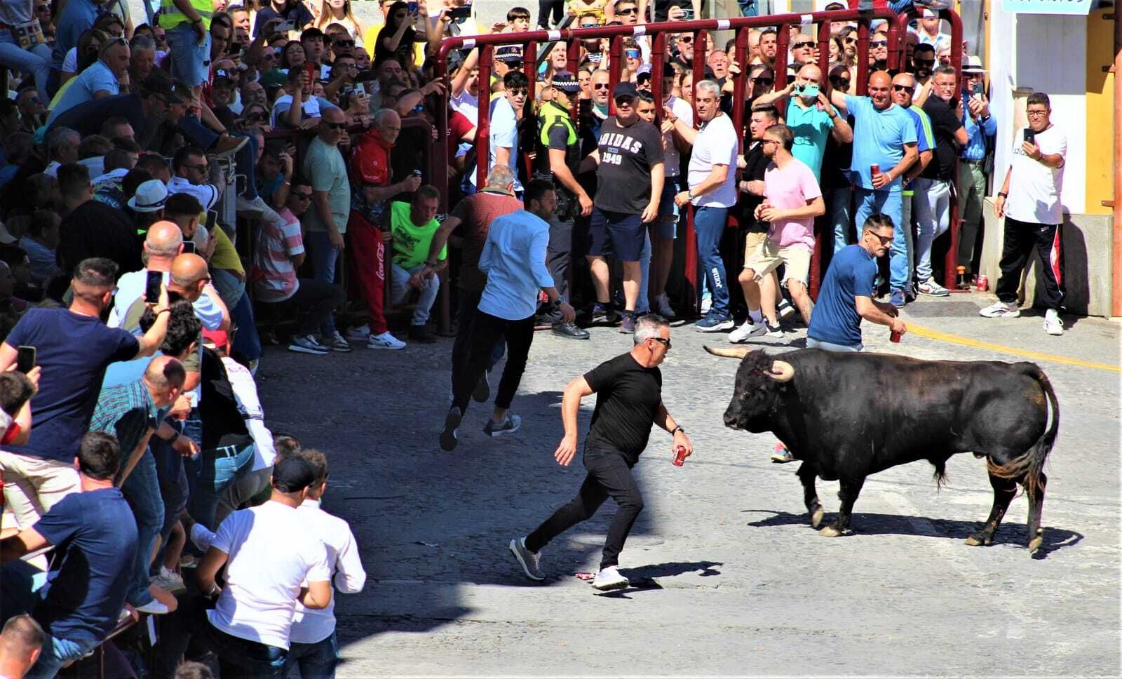 Las imágenes de la celebración del Toro del Aleluya en Arcos 2024