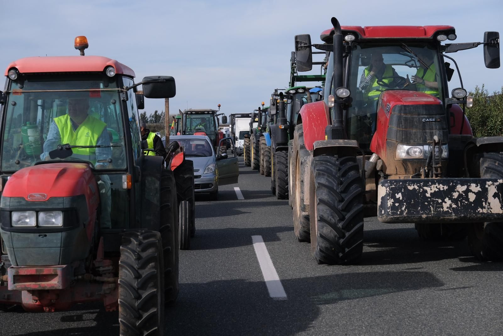 Tractorada en Málaga, la manifestación de los agricultores en fotografías