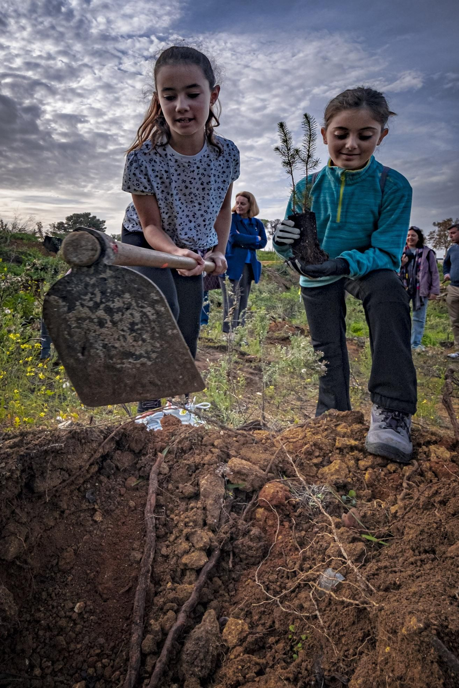 Las imágenes de escolares reforestando el pinar de Las Canteras de Puerto Real.