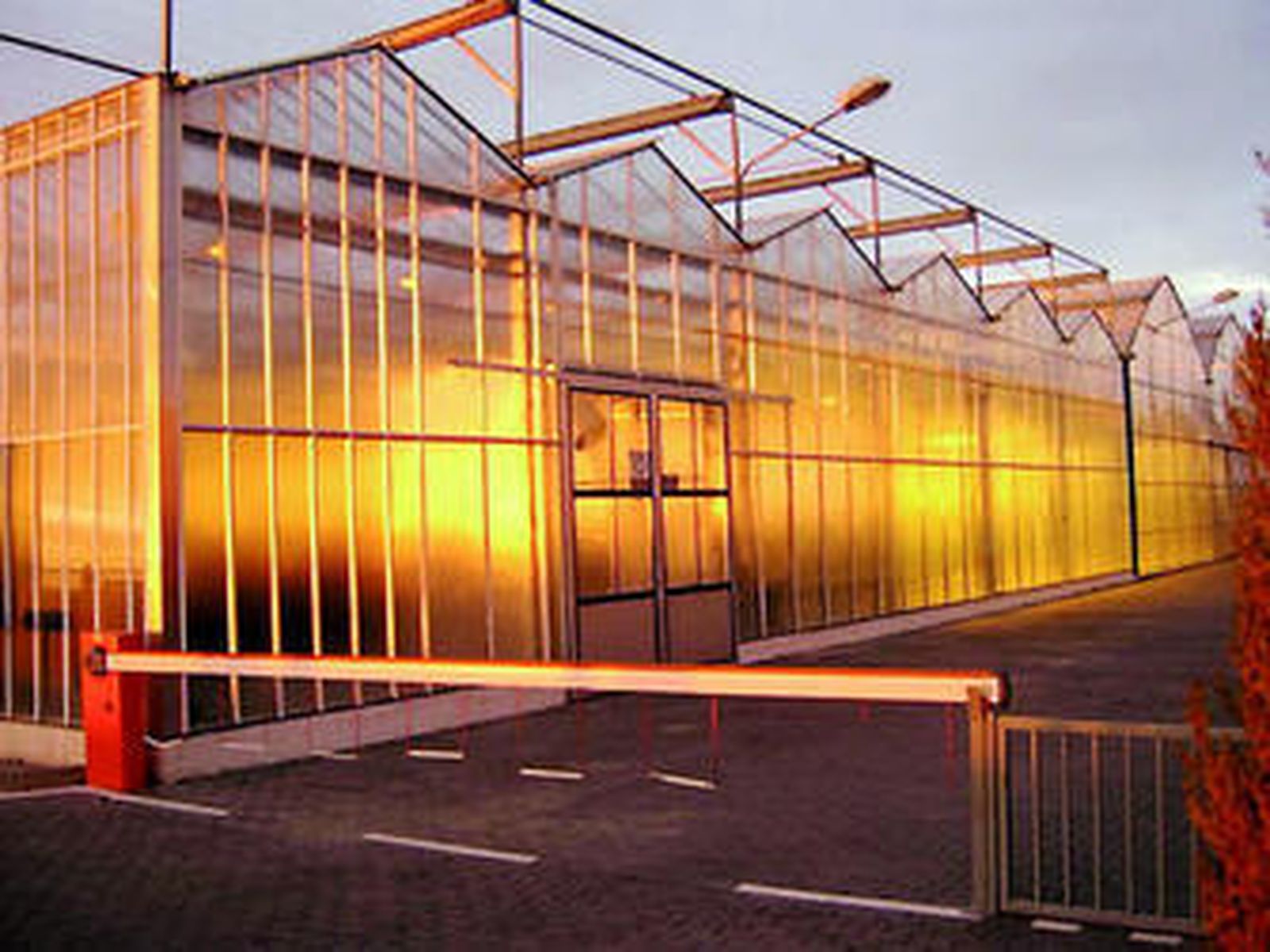 Las instalaciones se reparten entre la sede central y los invernaderos.