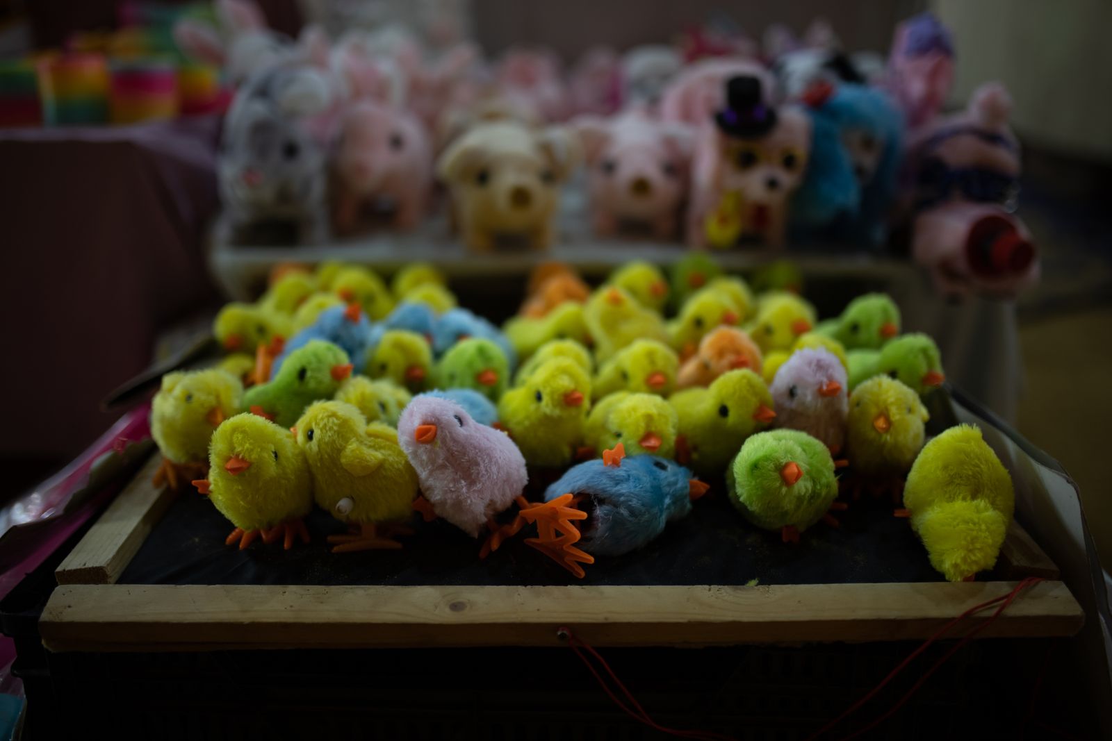 Colombinas 2022: Imágenes del ambiente en el tercer día de Colombinas