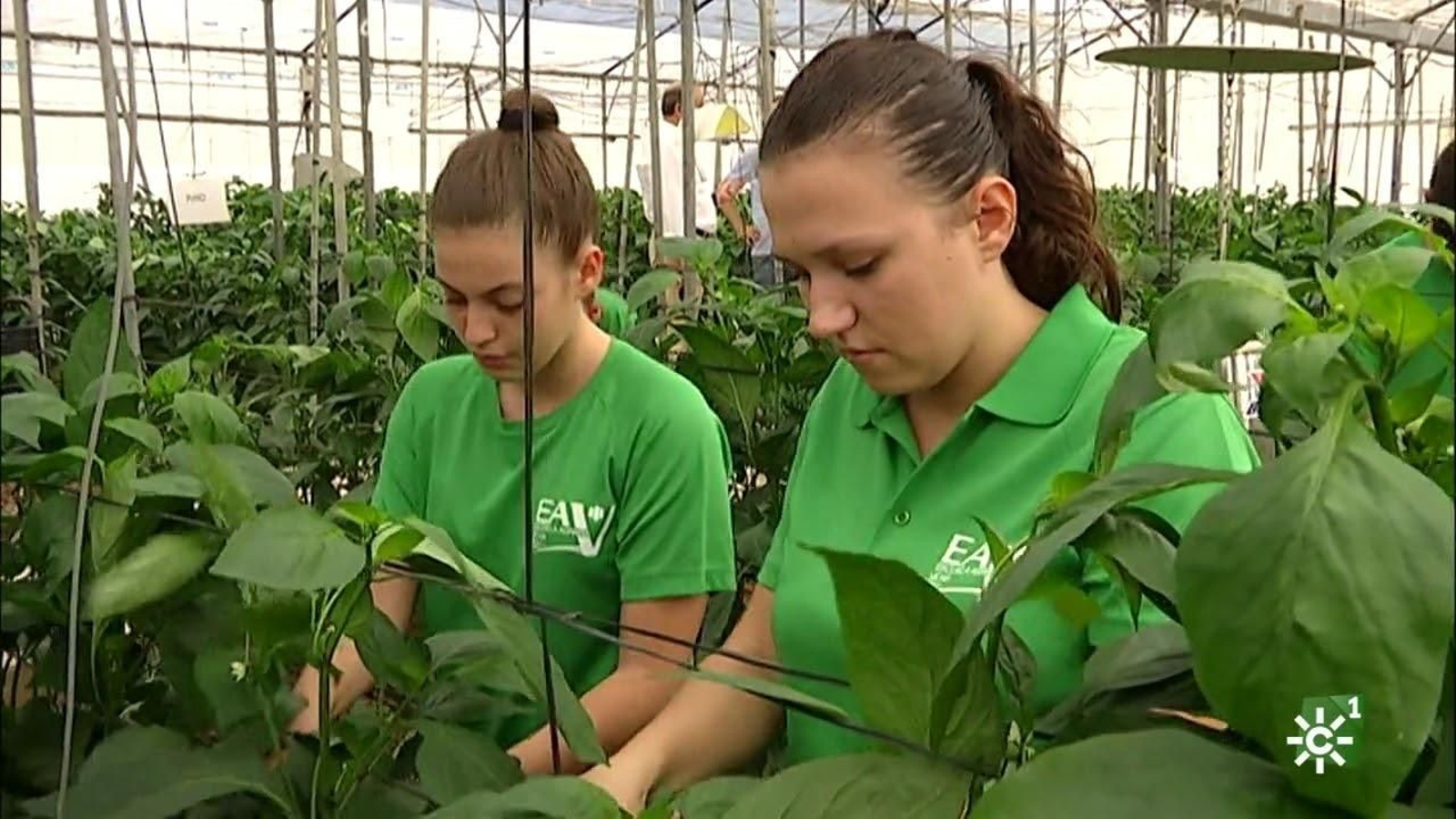 La Escuela Agraria de Vícar, opción preferente para entrar al mercado laboral