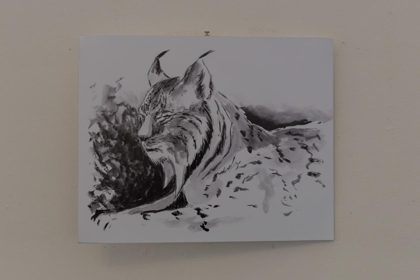 Exposición Los pinceles del lince ibérico, en imágenes