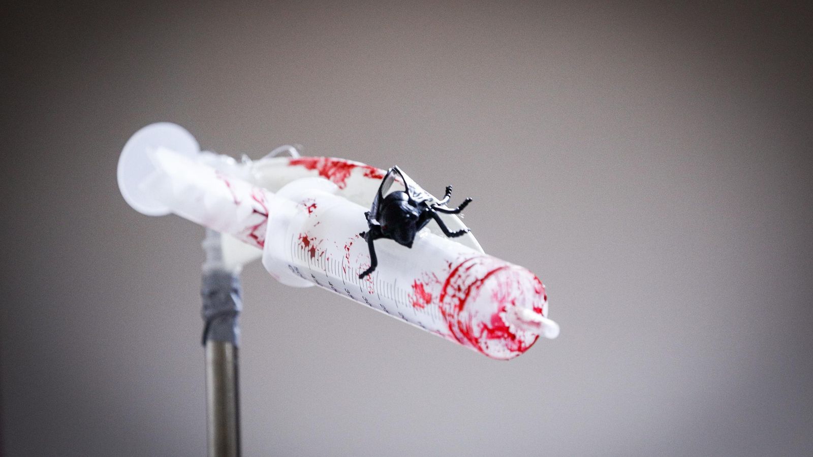 Búscate entre las mejores imágenes de la undécima sesión de preliminares del COAC 2025