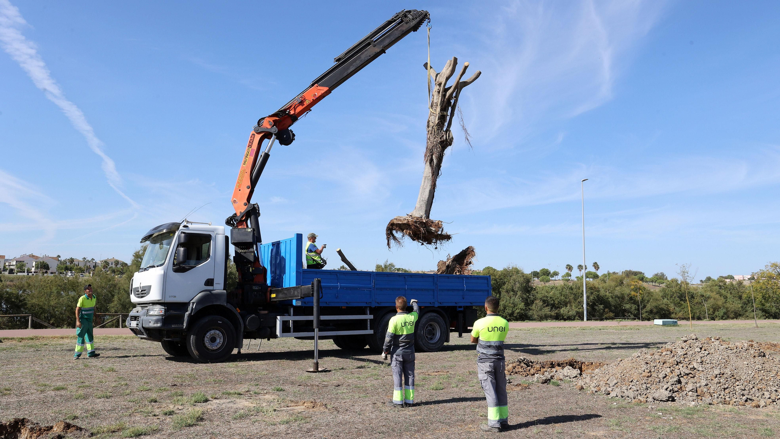 Traslado de los árboles de Chapín