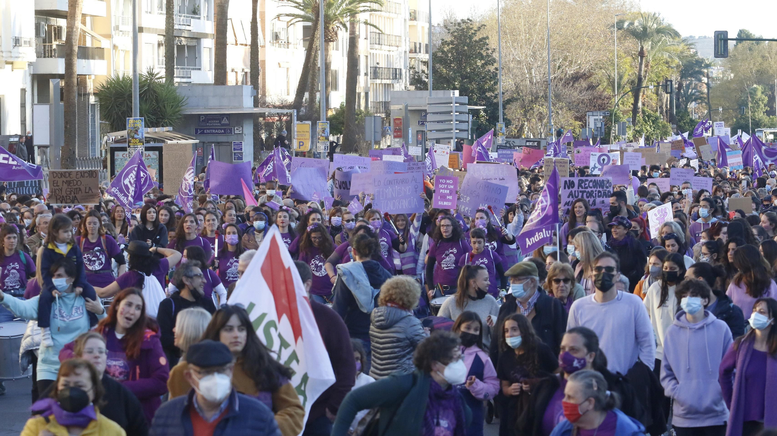 La manifestación del 8M en Córdoba, en fotografías