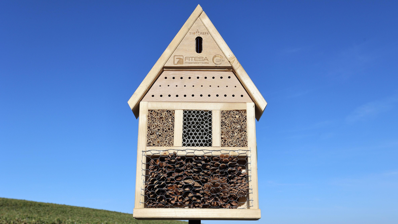 Asoleo de Pedro Ximénez en González Byass