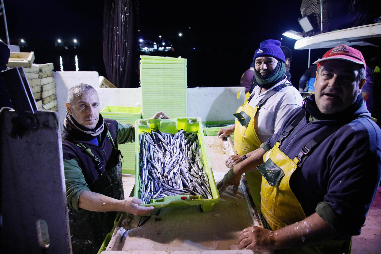 Te contamos en imágenes como ha sido la descarga de las traiñas en la lonja de Almería