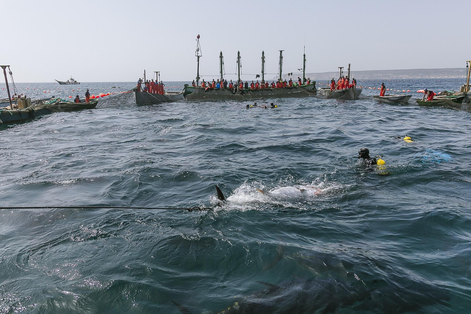 Imágenes de la primera levantá del año