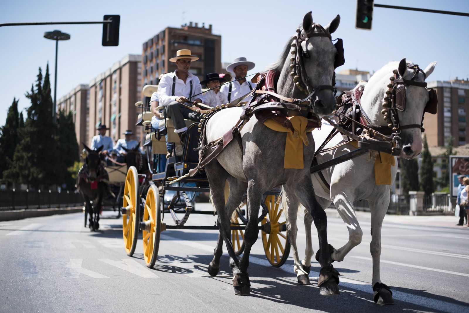 Concurso de enganches