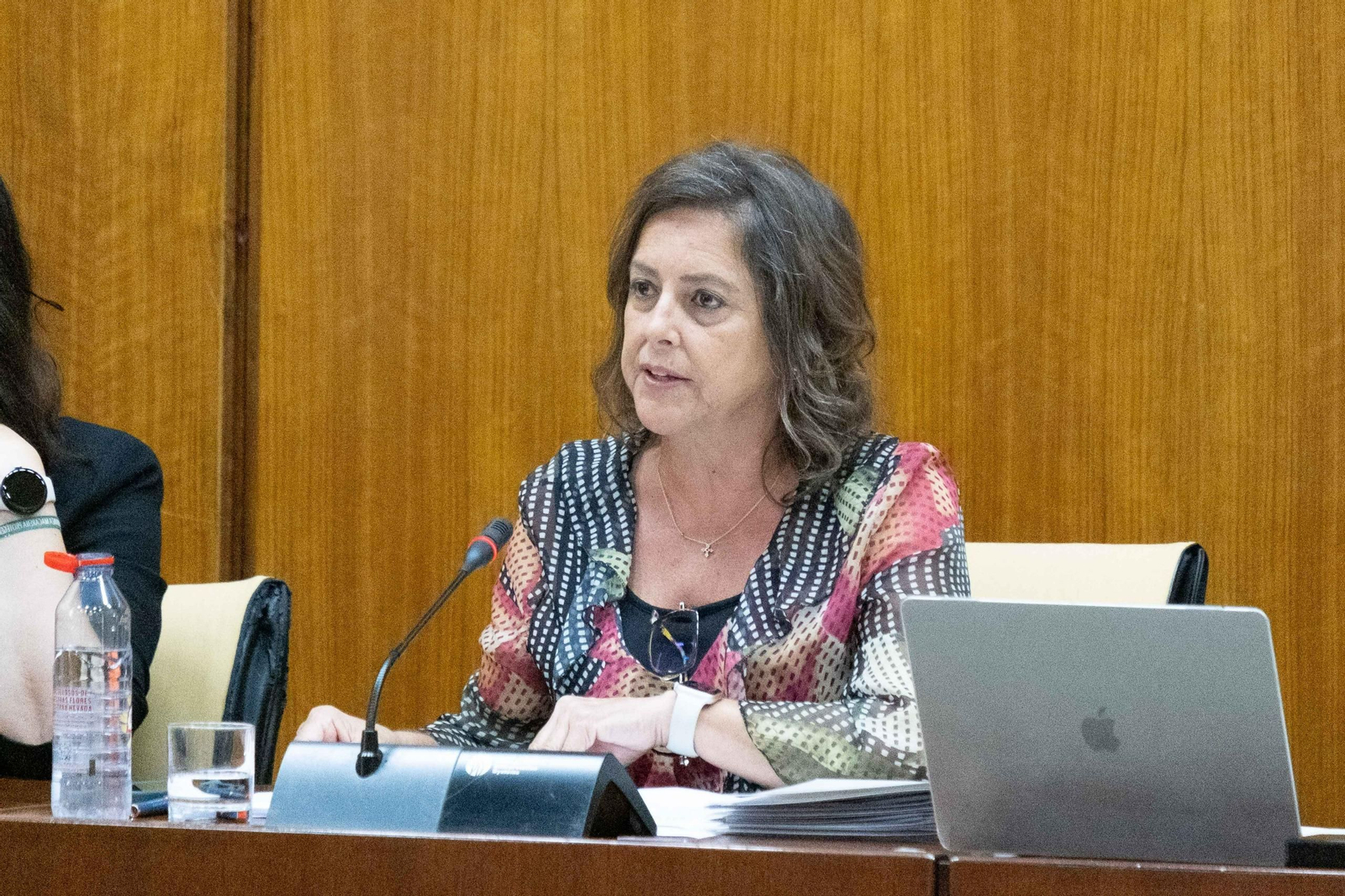 La consejera de Sostenibilidad y Medio Ambiente, Catalina García.