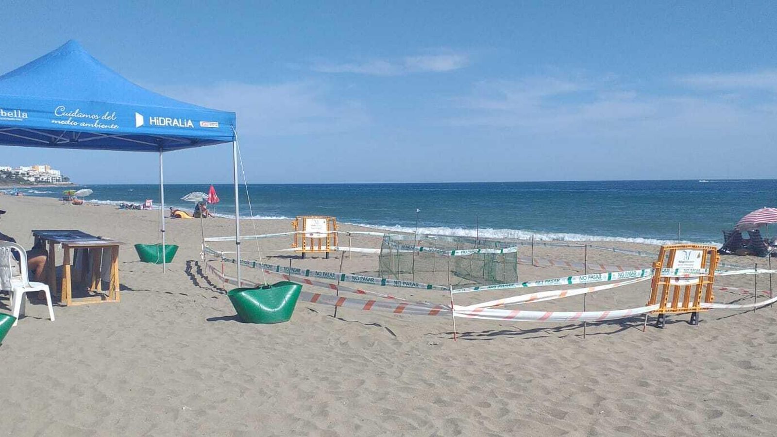Vista general del nido de huevos de tortuga marina implantado en la playa de Cabopino de Marbella.