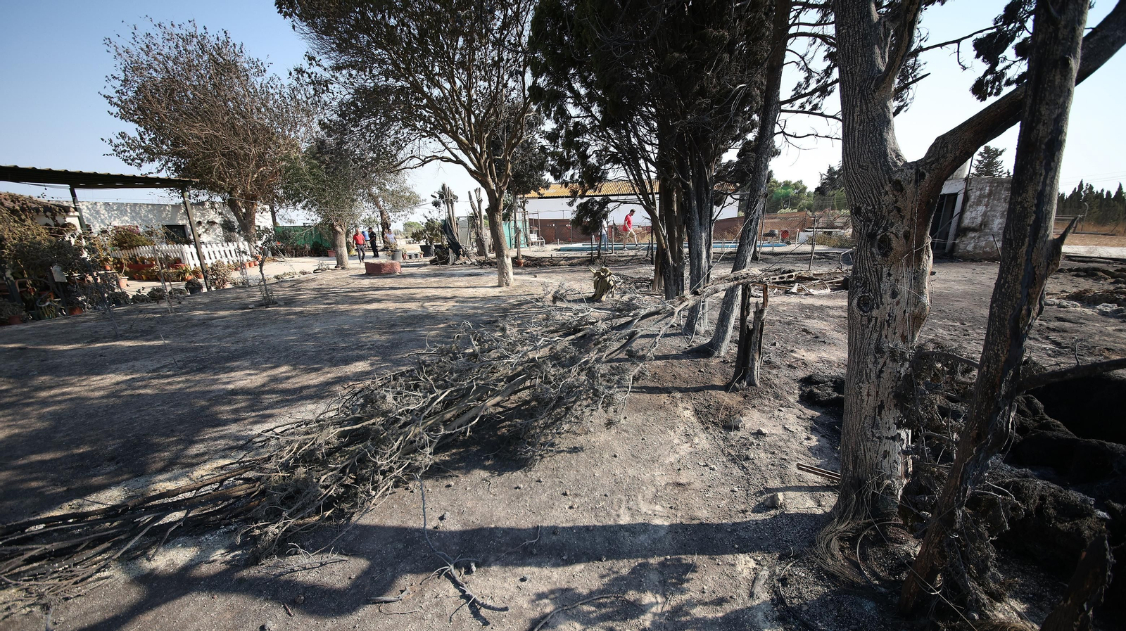Imágenes de las zonas afectadas por el grave incendio en Jerez