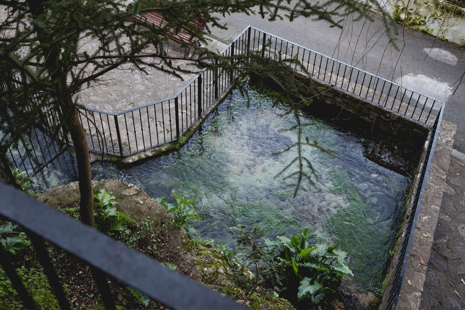 Así es el mágico paraje natural de la Sierra de Cádiz donde el agua de su manantial es la protagonista