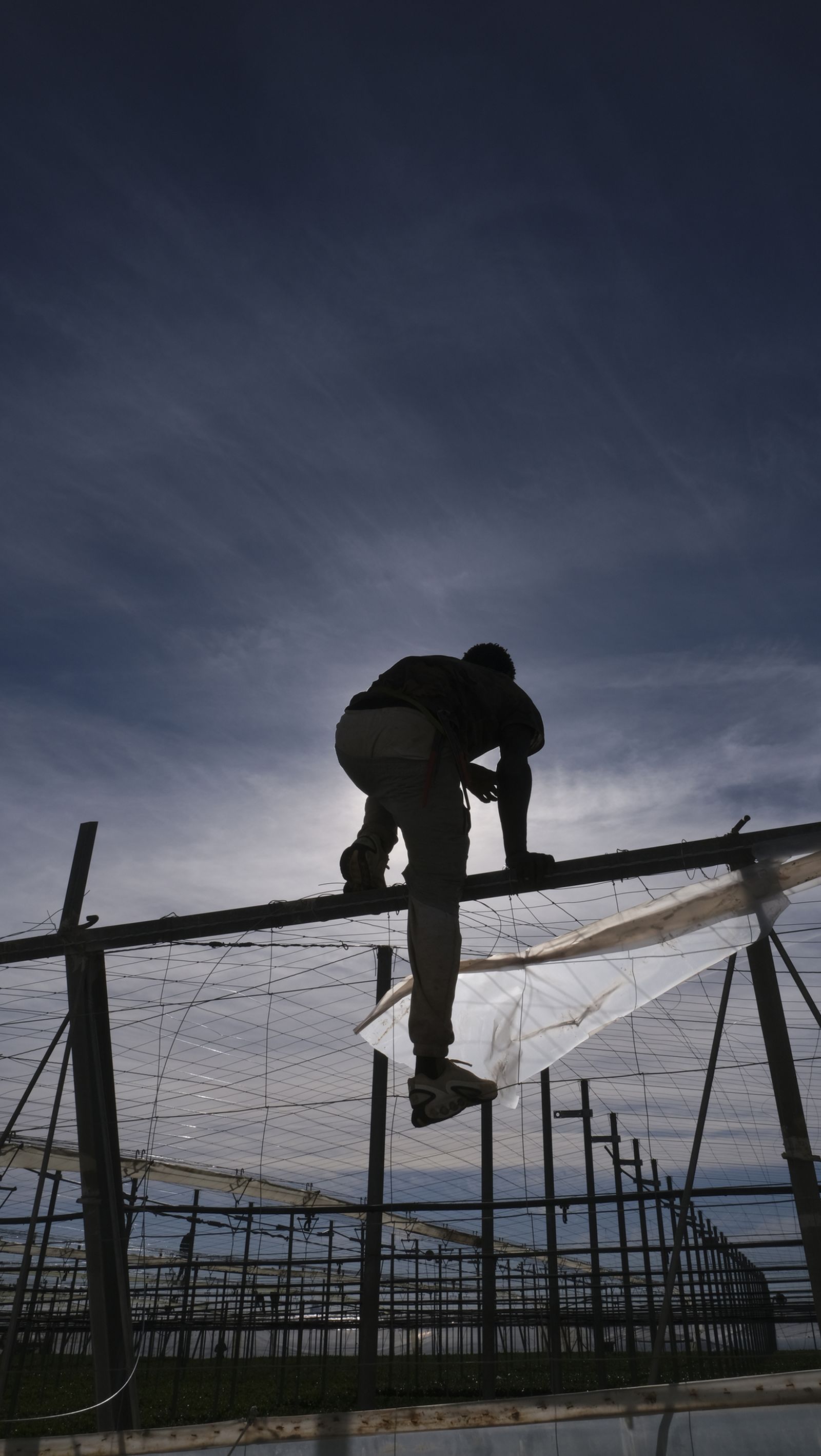 Los efectos del temporal de viento en los invernaderos, en imágenes