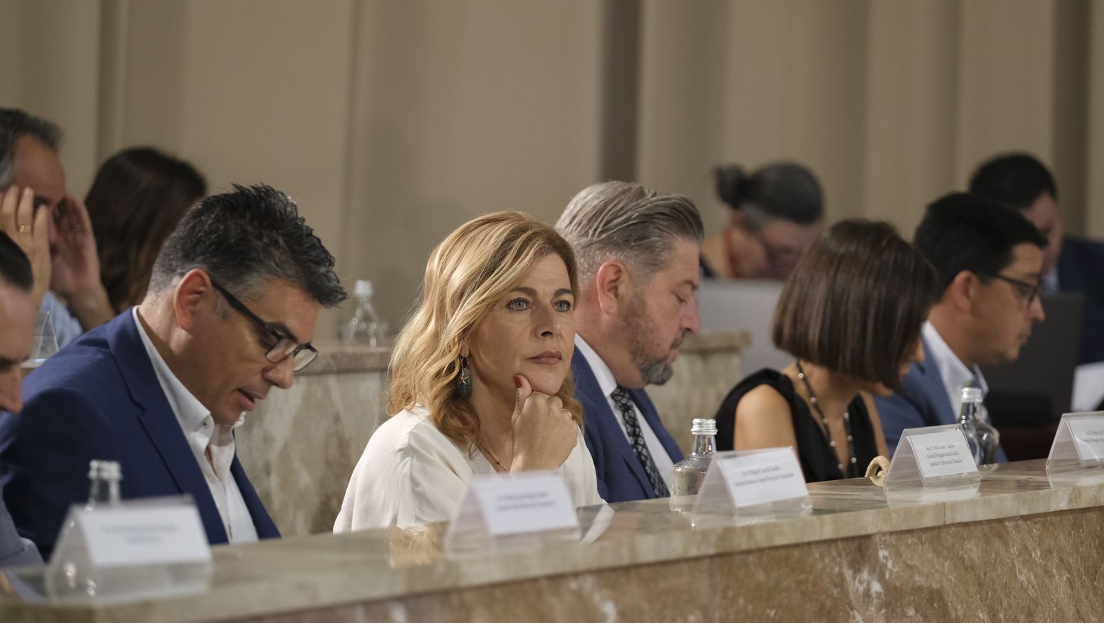 Imágenes del pleno ordinario del Ayuntamiento de Almería