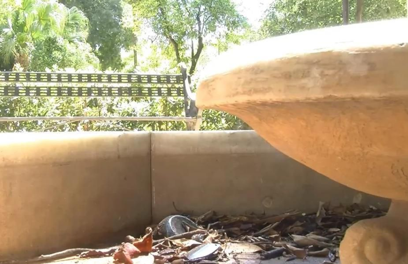 ¿Los Jardines de las Delicias?