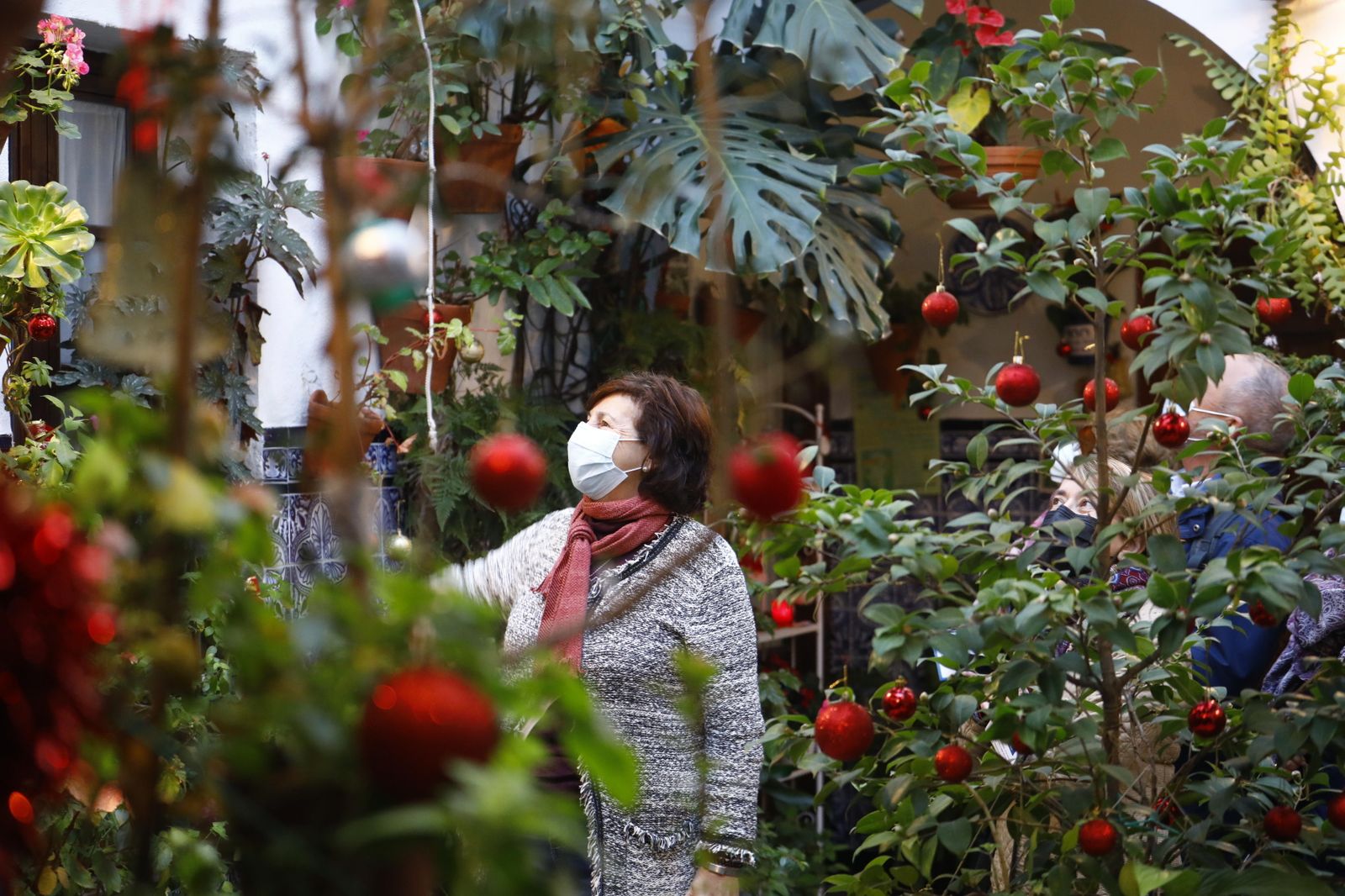 Las fotografías de los Patios de Córdoba en Navidad