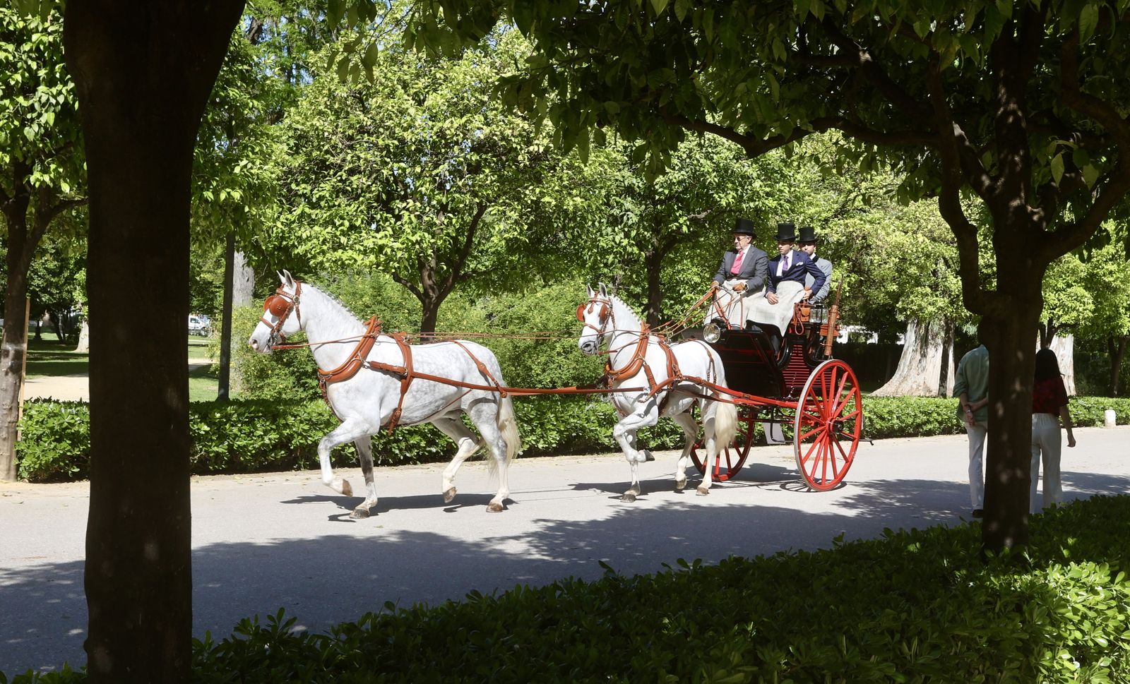 X copa CIAT   Concurso de Enganches