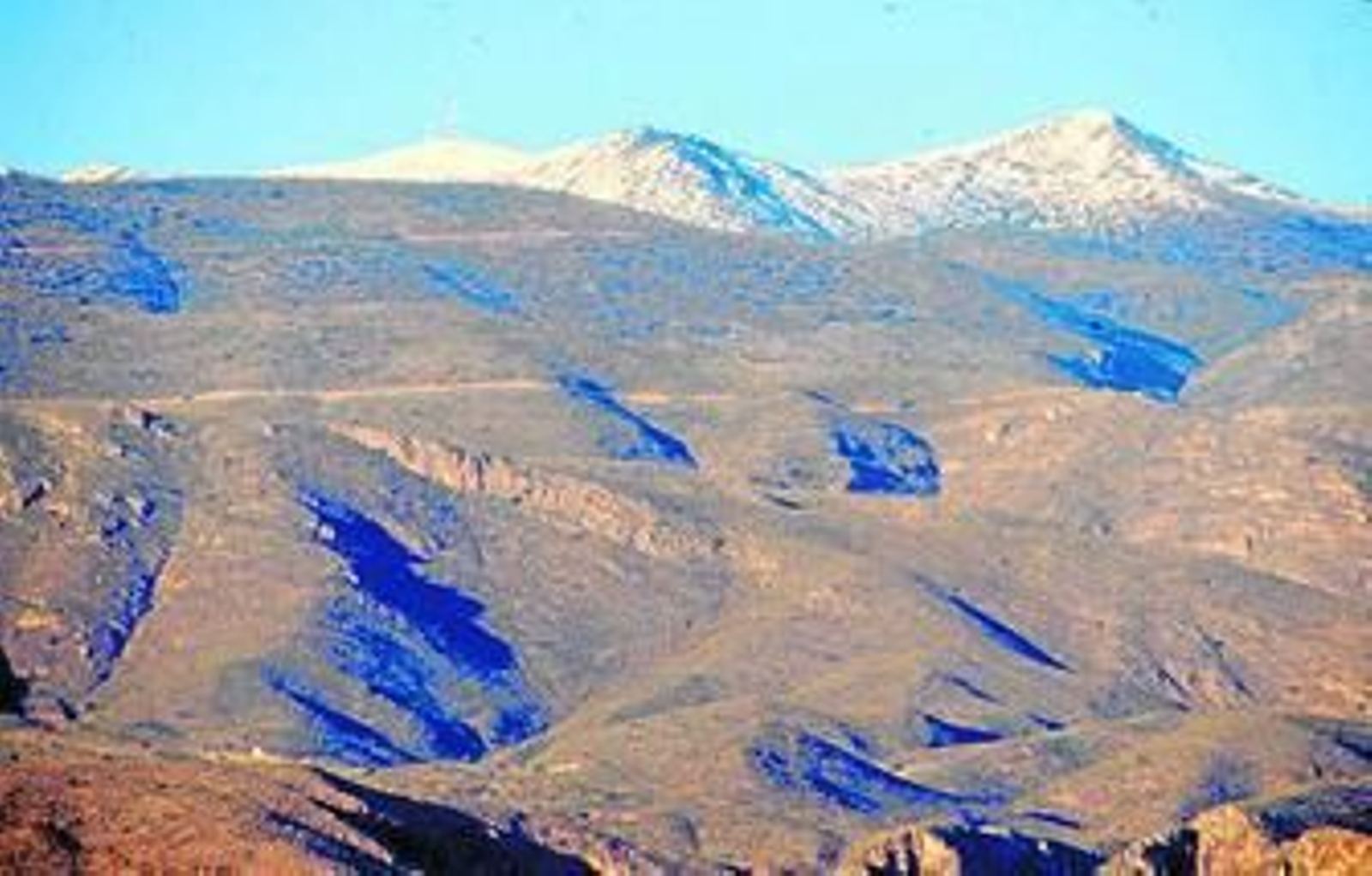 Un tradicional invernadero ganadero