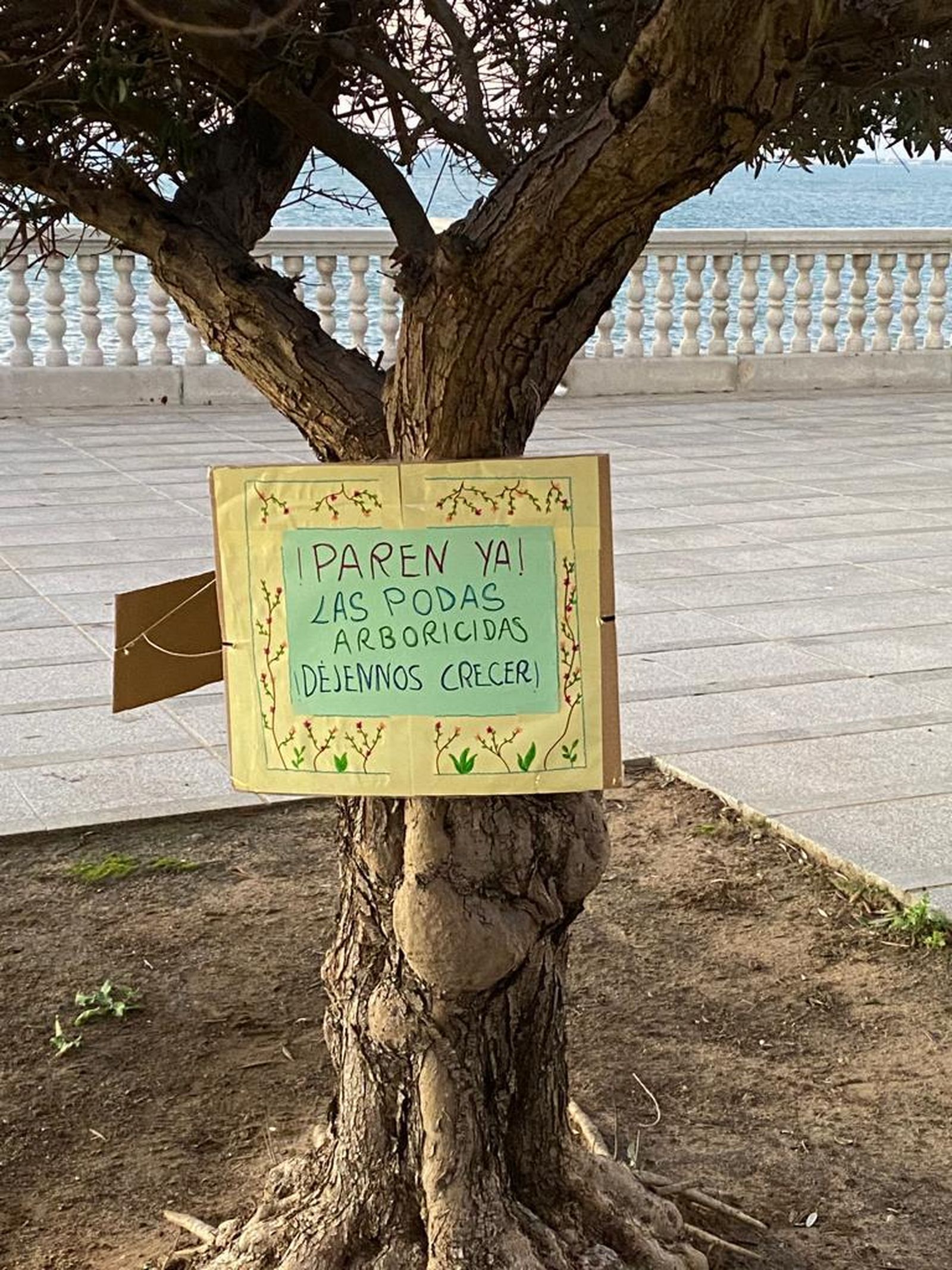 Uno de los carteles en un olivo.