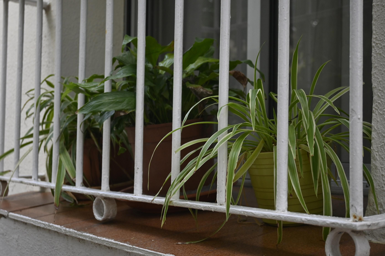 Barrio a Barrio: Imágenes de San Sebastián