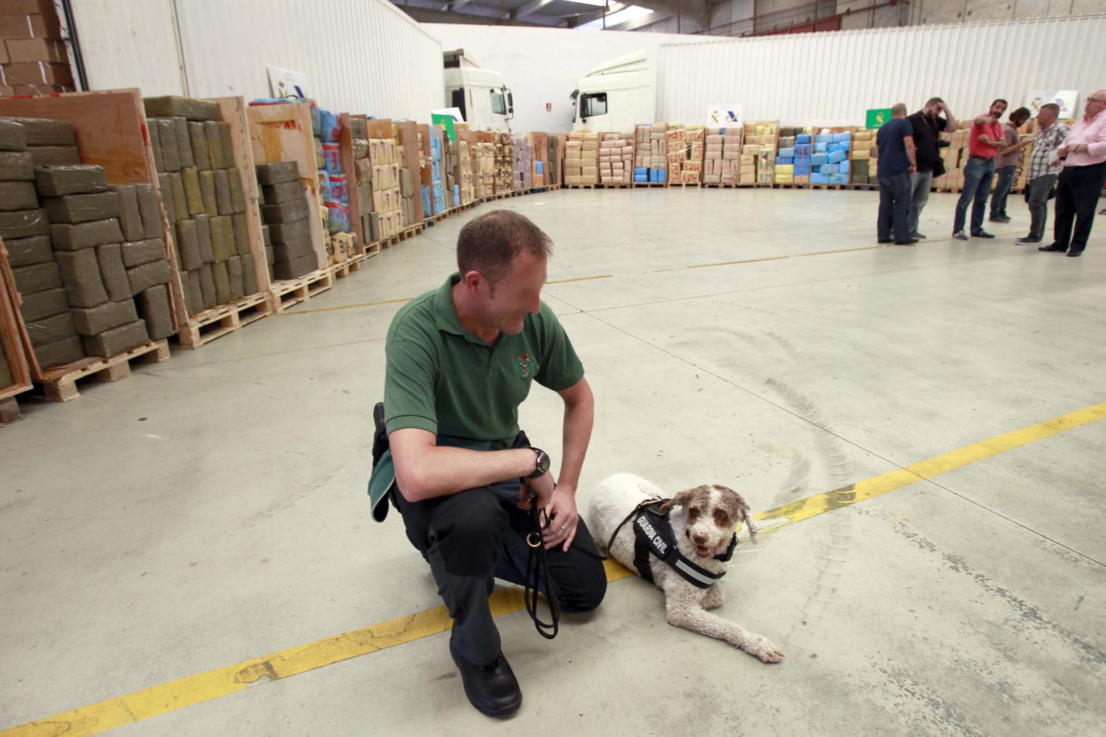 Shulo, en una actuación de la Guardia Civil de Cádiz.