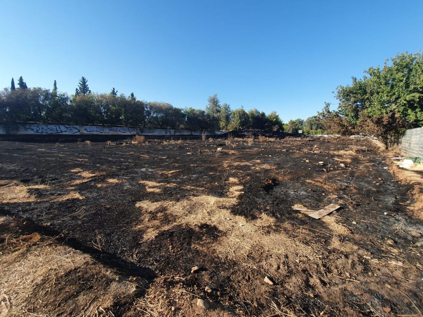 Solar de la calle Teruel, en Córdoba, afectado por un fuego.