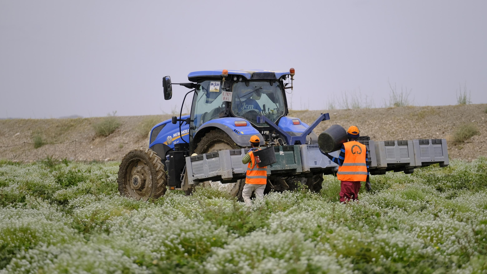 La sandía y el melón de Huércal Overa, manjares en imágenes