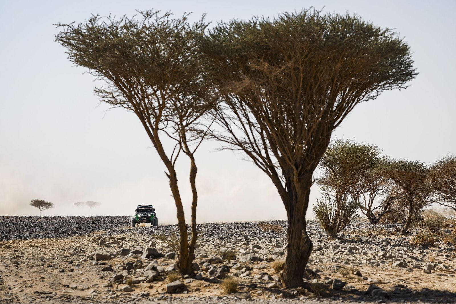 Las mejores fotos del Rally Dakar | Novena etapa