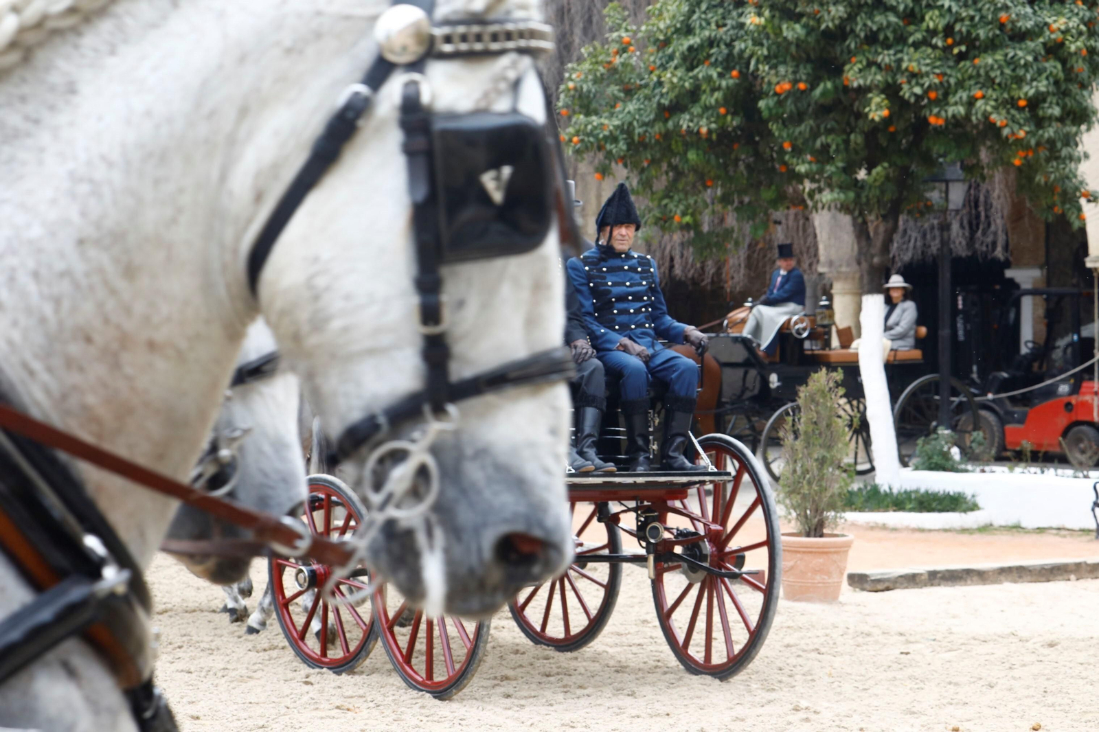 La exhibición de enganches en Caballerizas Reales de Córdoba, en imágenes